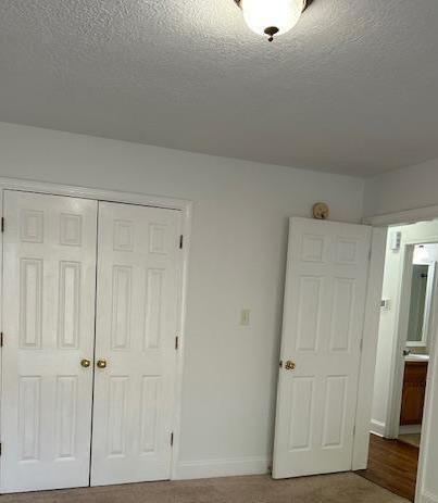 Photo #12