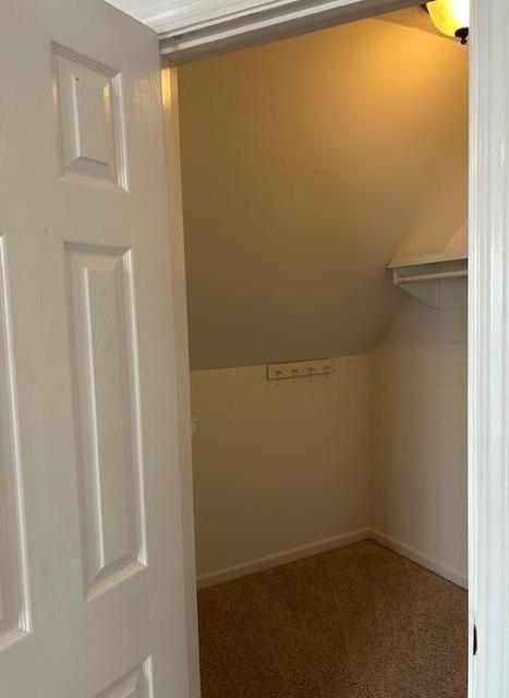 Photo #18
