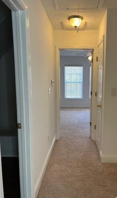 Photo #23