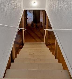 Photo #12