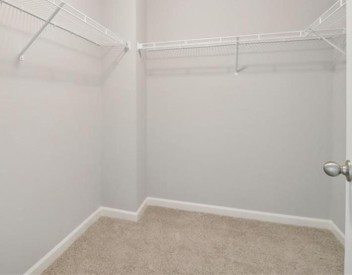 Photo #14