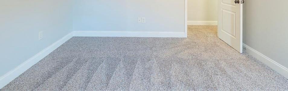 Photo #22