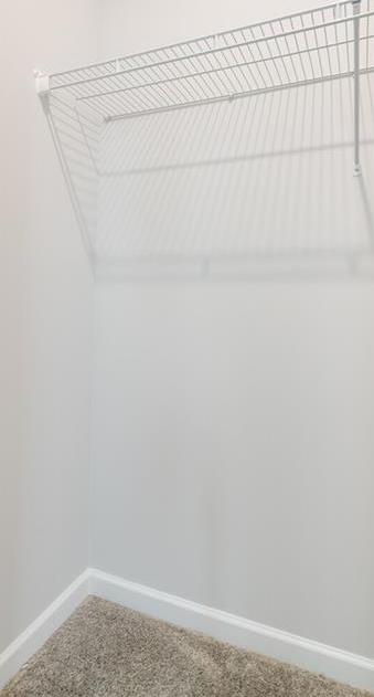 Photo #16