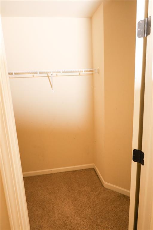 Photo #61