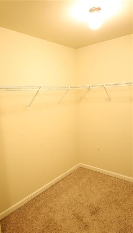 Photo #41