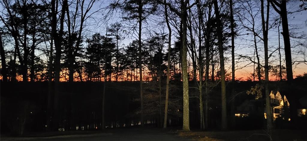 Photo #37