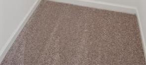 Photo #31