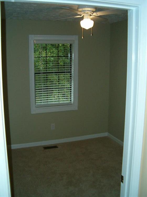Photo #8