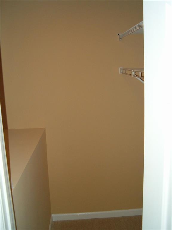 Photo #23
