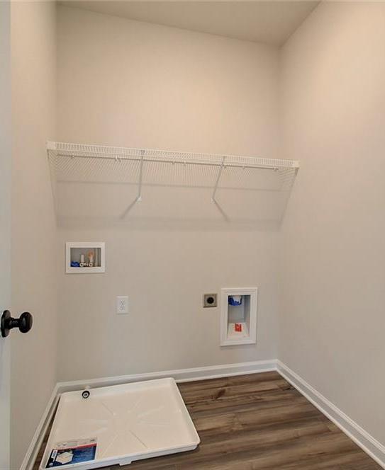 Photo #43