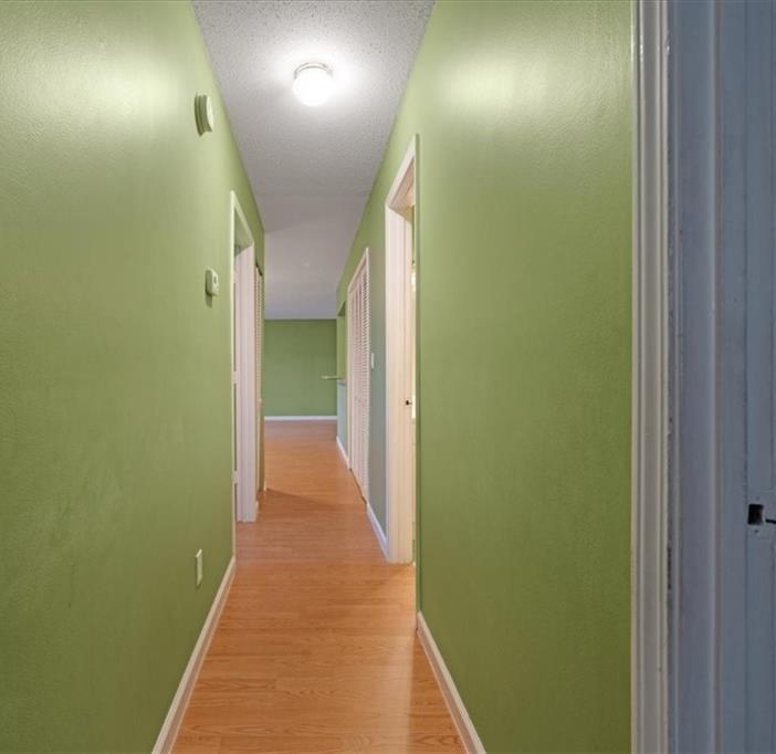Photo #15