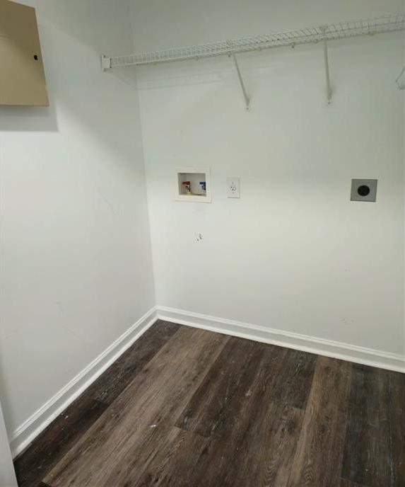 Photo #15