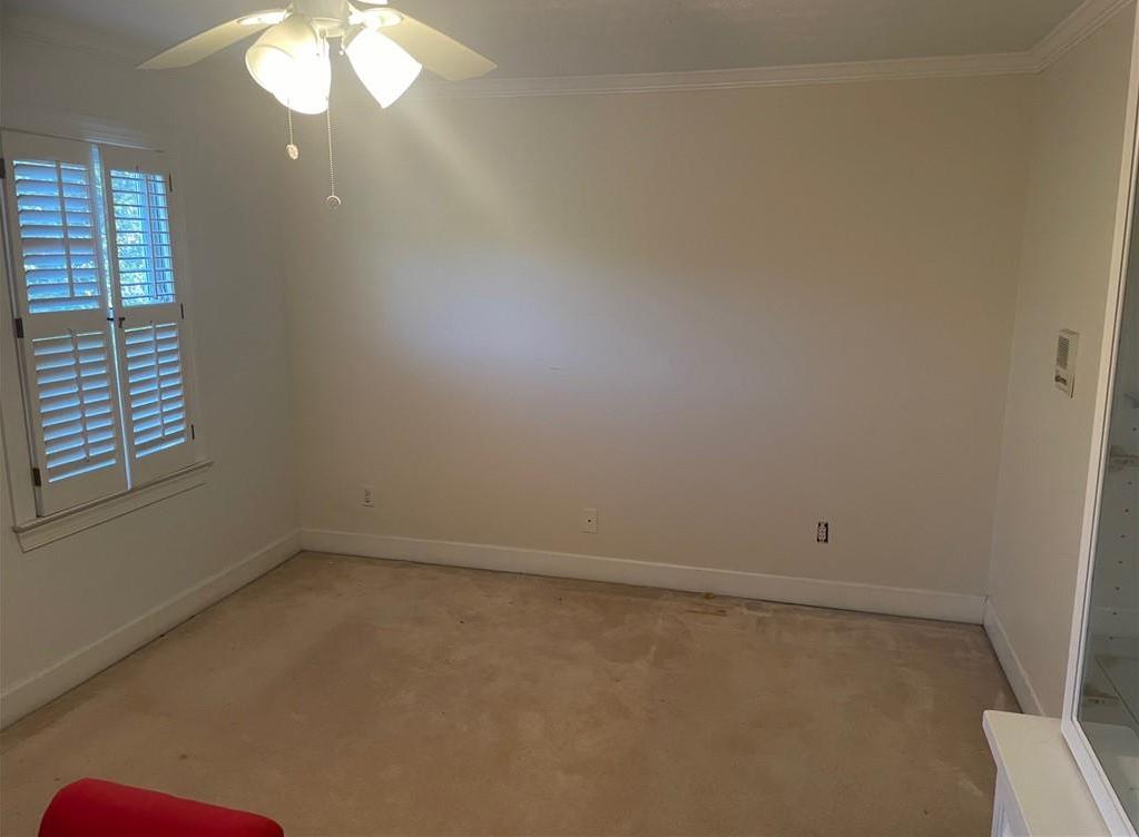 Photo #12