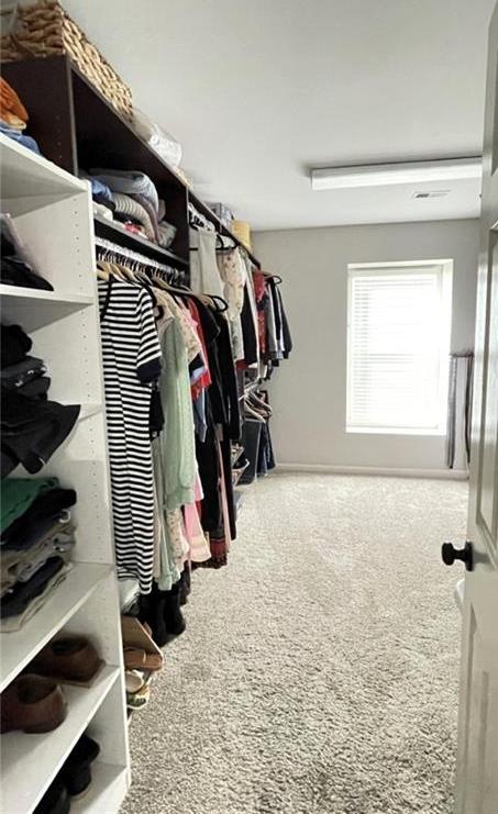 Photo #33