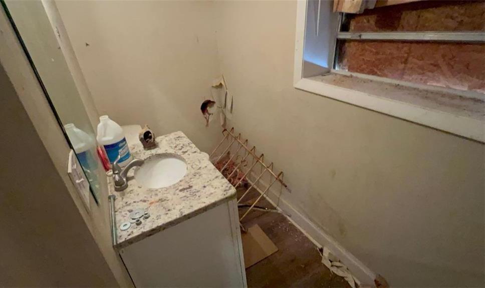 Photo #13