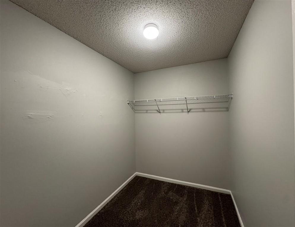 Photo #20