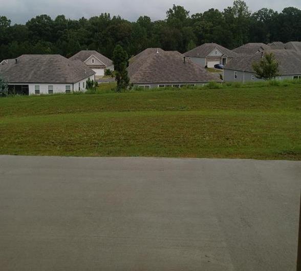 Photo #6