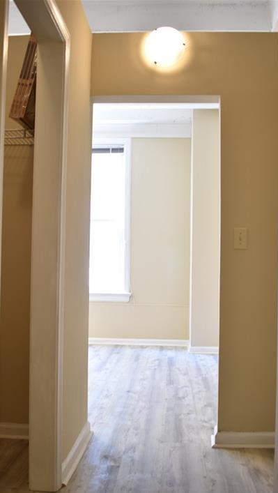 Photo #21