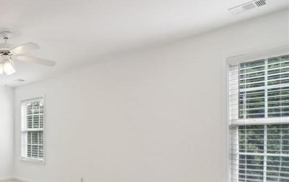 Photo #15