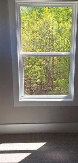 Photo #48