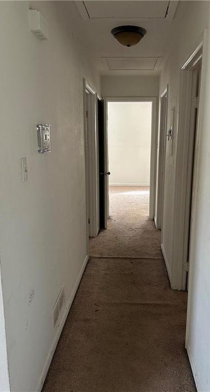 Photo #18