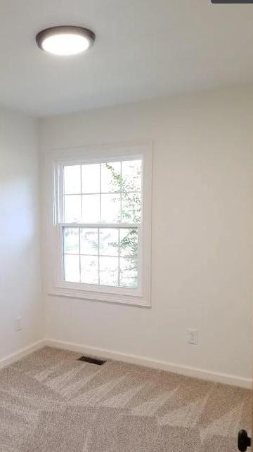 Photo #14