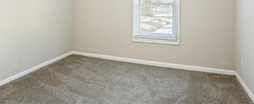 Photo #19
