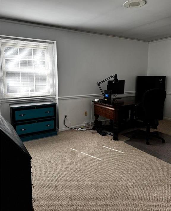Photo #28