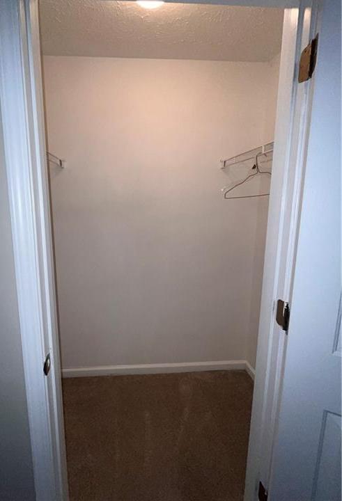 Photo #17