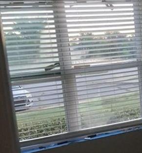 Photo #14