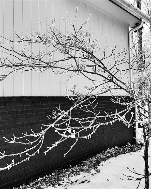 Photo #76