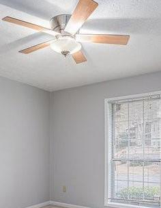 Photo #12
