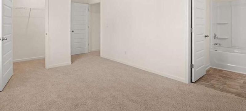 Photo #42