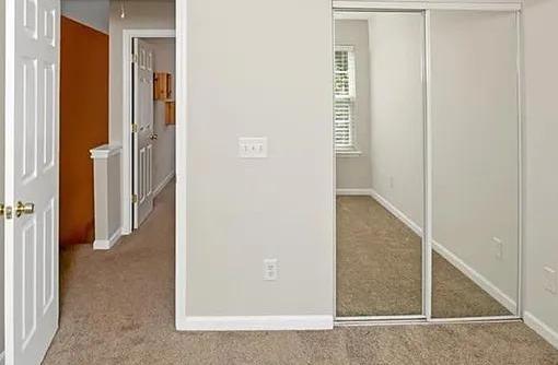 Photo #8