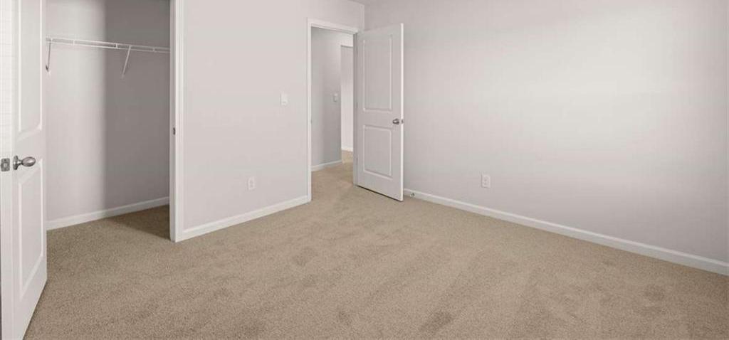 Photo #42