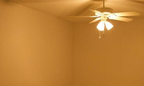 Photo #33