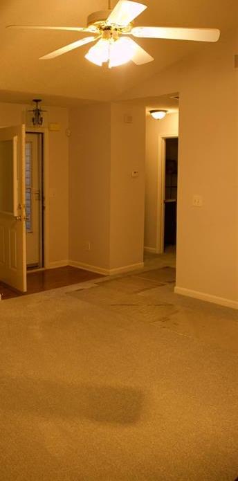 Photo #4