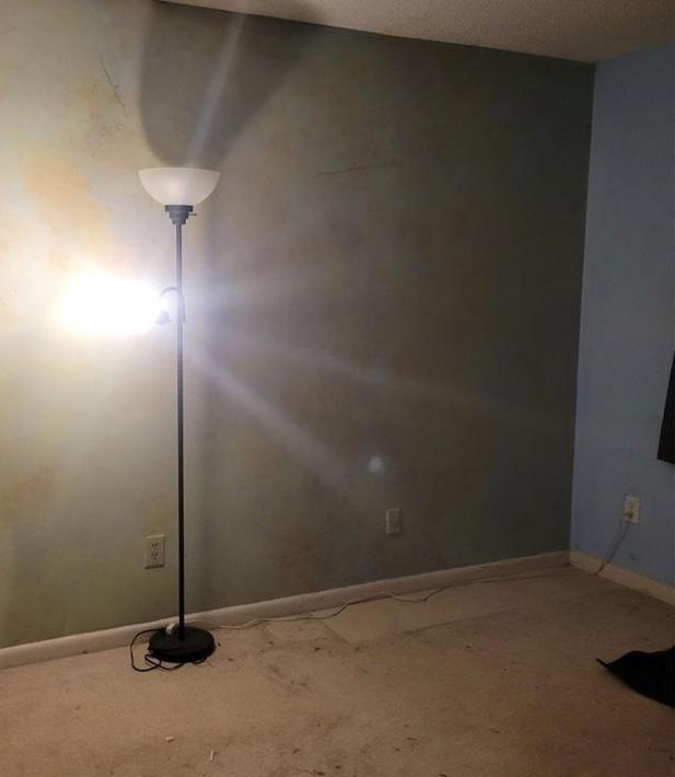 Photo #19