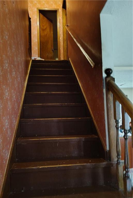 Photo #13