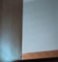 Photo #12