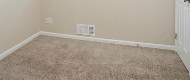 Photo #10