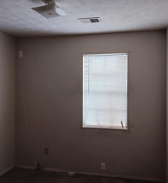 Photo #15