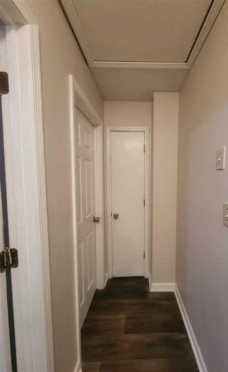 Photo #30