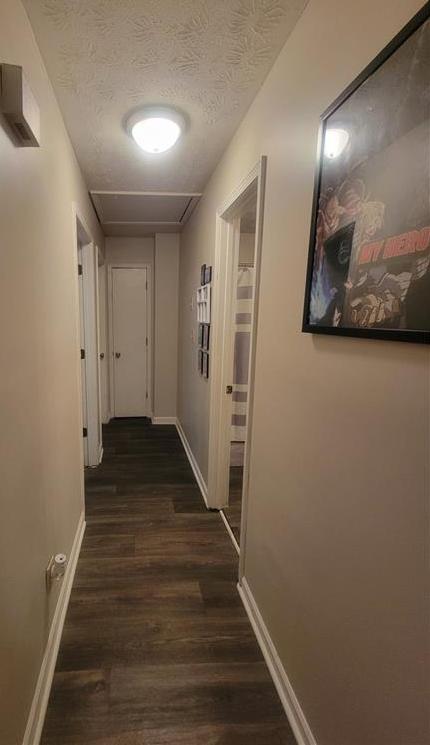Photo #24