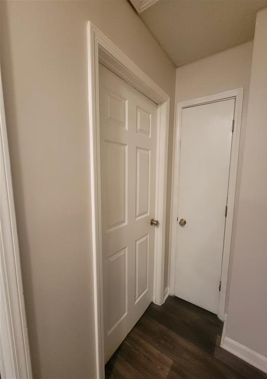 Photo #32