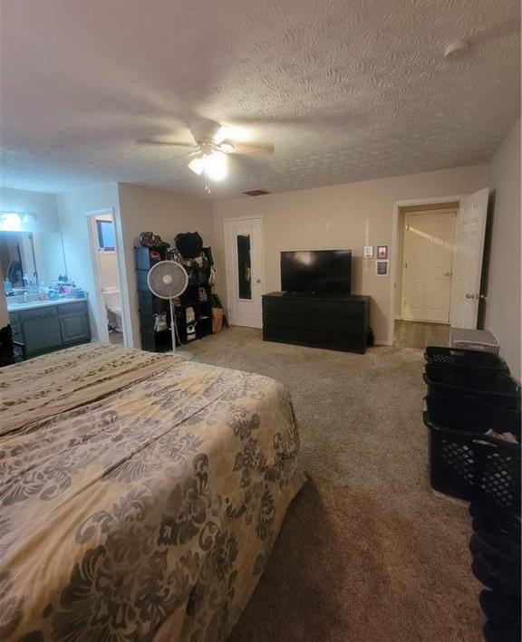 Photo #41