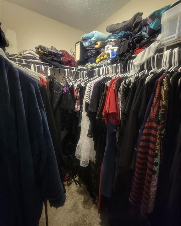 Photo #46