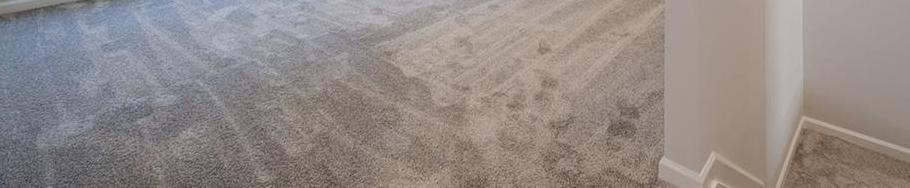 Photo #16