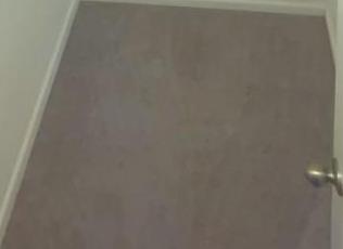 Photo #13