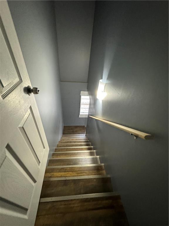 Photo #31